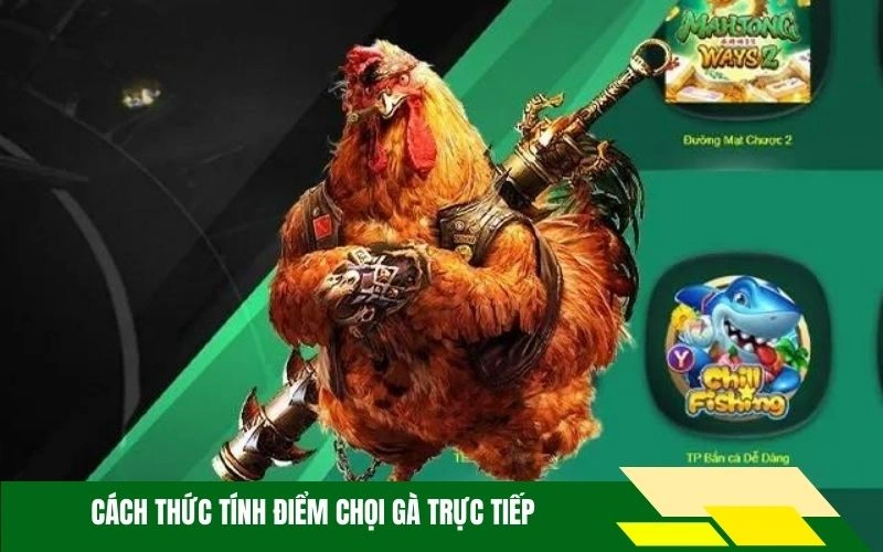 Cách thức tính điểm chọi gà trực tiếp